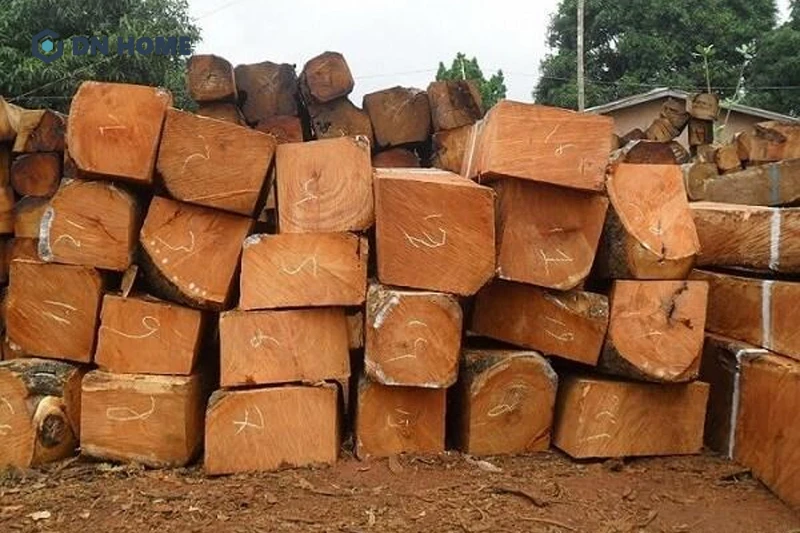 Đặc điểm nhận biết gỗ gụ là có mùi hương chua nhẹ nhưng không hăng gắt, khó chịu