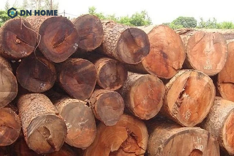 Gỗ cây hoàng đàn có màu sắc từ âu vàng đến nâu đậm