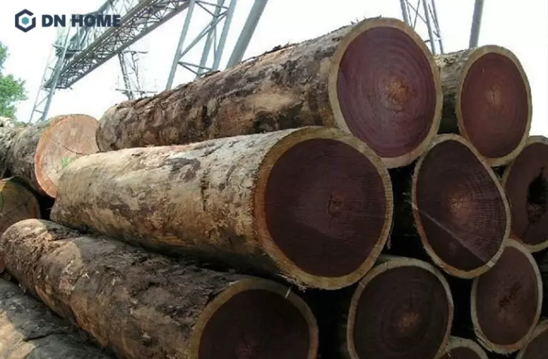 Ưu điểm nổi bật của gỗ cây Lim là thó gỗ cứng chắc, chống mối mọt hiệu quả và ít cong vênh