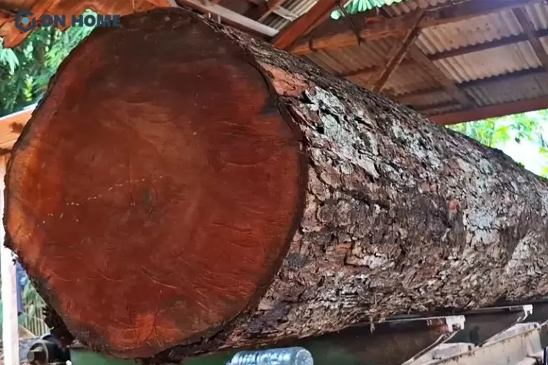 Gỗ Lim Đỏ được xếp vào các loại gỗ quý hiếm nhờ màu sắc ấn tượng và đường vân rõ nét