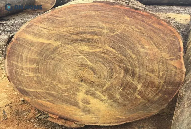Đúng như cái tên, gỗ Lim Vàng có màu sắc đặc trưng nâu vàng pha chút xám khá độc đáo