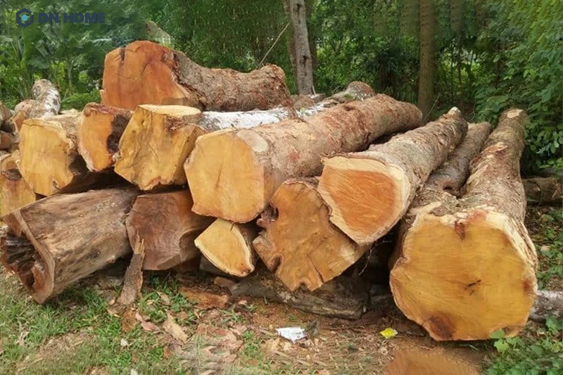 Theo bảng phân loại gỗ tại Việt Nam, gỗ cây mít được xếp vào nhóm gỗ IV - nhóm gỗ có màu sắc đẹp, vận mịn và độ bền khá cao