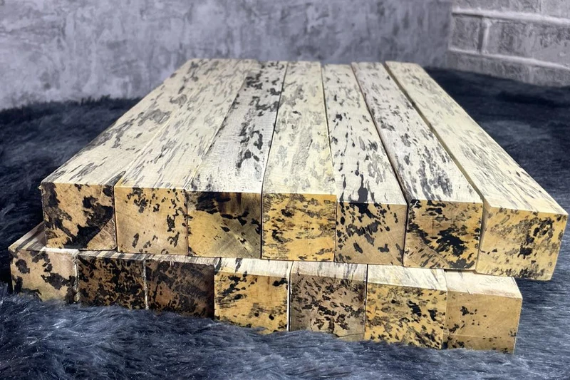 Mun da báo là loại gỗ mun được khai thác tại khu vực nhiệt đới châu Phi