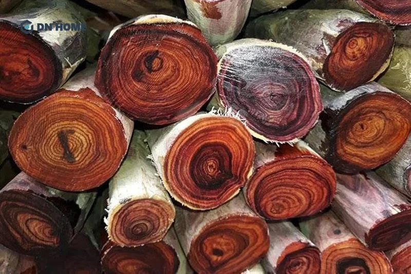 Gỗ sưa hay còn được gọi với những cái tên như gỗ huê, huỳnh đàn hoặc trắc thối
