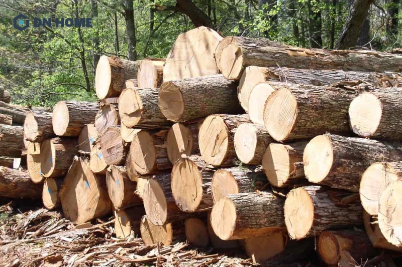 Gỗ tự nhiên là loại gỗ được khai thác trực tiếp từ cây thân gỗ trong rừng