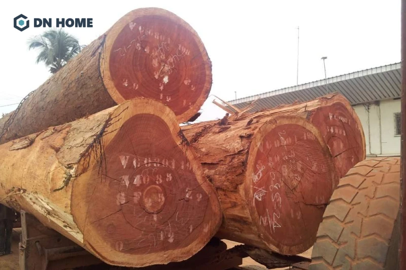 Gỗ xoan đào với màu hồng đặc trưng, độ bền tương đối được xếp vào nhóm III
