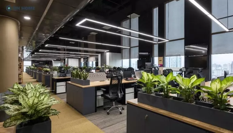 Chú trọng đến yếu tố phong thuỷ trong thiết kế góp phần thu hút năng lượng tích cực và vượng khí vào môi trường làm việc
