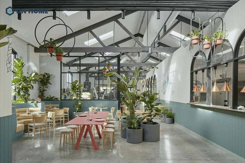 Quán cafe phong cách Scandinavian được thiết kế gần gũi với thiên nhiên với các chậu cây bố trí dày đặt