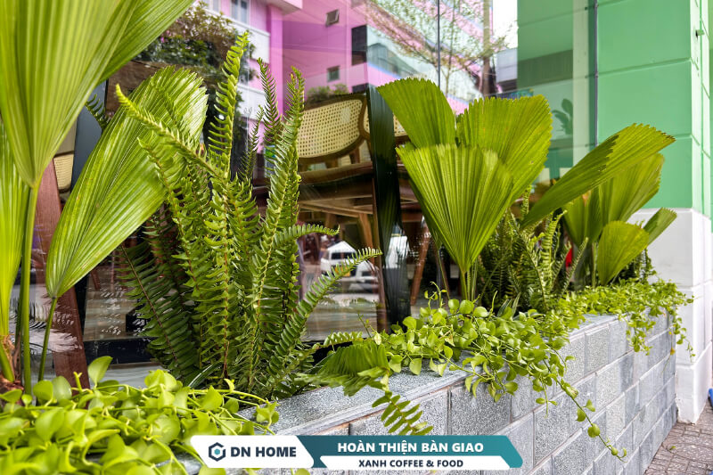 Cây xanh mang đậm hơi thở tươi mát nhiệt đới là điểm nhấn mặt tiền XANH COFFEE & FOOD
