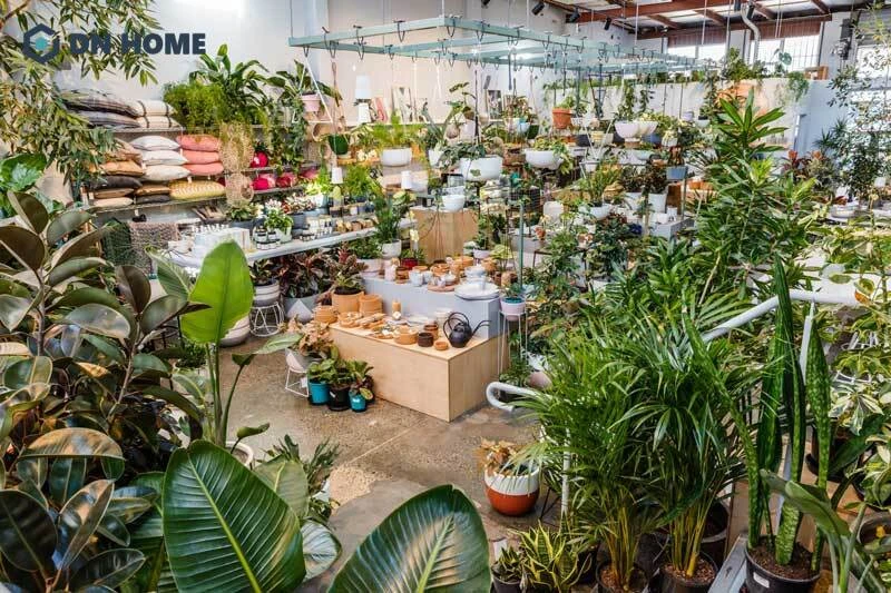 Cần bố trí các khu vực trưng bày khoa học để kích thích mua sắm