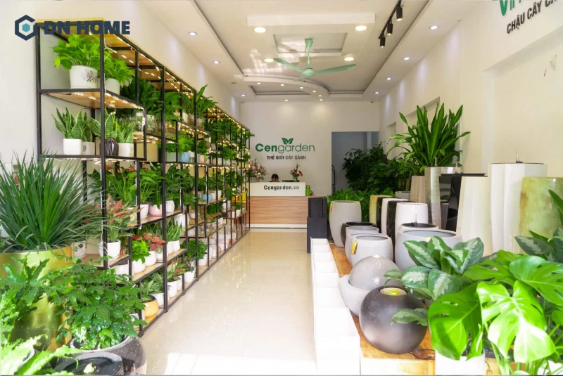 Ánh sáng tự nhiên giúp cây cảnh mini trông sáng sủa, thu hút hơn