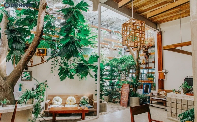 Không gian quán cafe thông thoáng, gần gũi với thiên nhiên