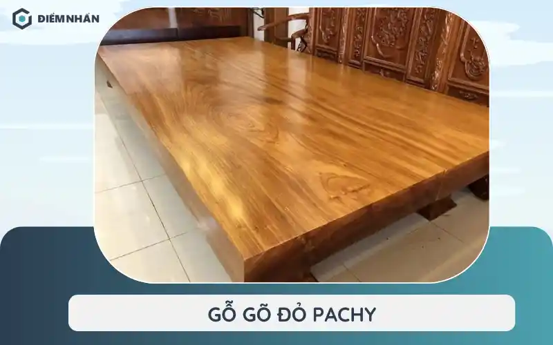 Gỗ gõ đỏ pachy