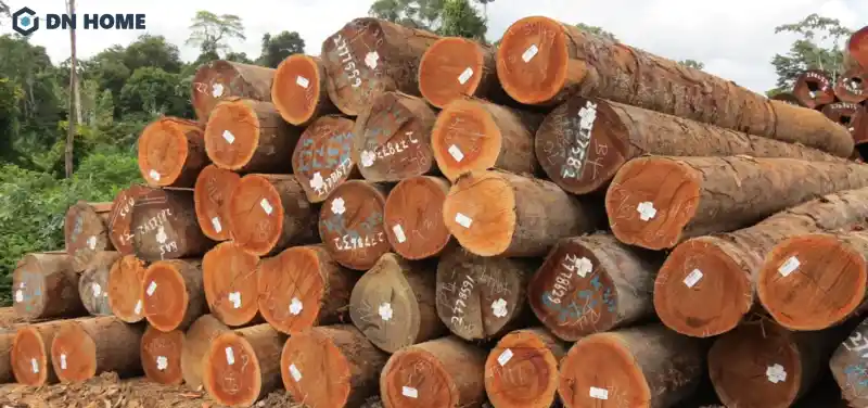 Gỗ gõ đỏ pachy