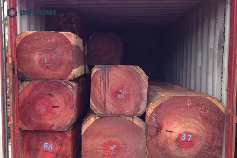 Ngoài hương đỏ Nam Phi thì gỗ hương còn rất nhiều loại khác