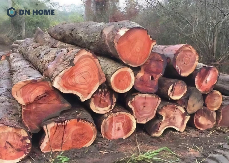 Hiện nay gỗ hương đỏ từ Nam Phi có giá khoảng vài chục đến hàng trăm triệu đồng