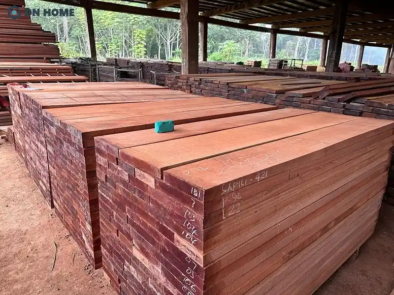 Gỗ xoan