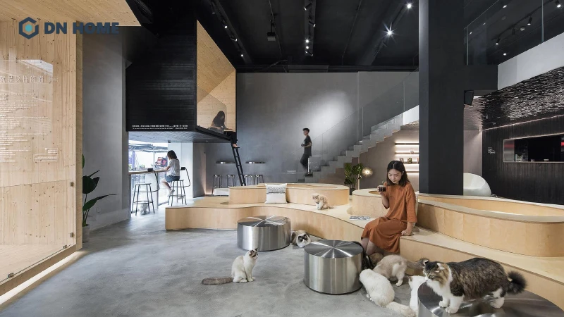 Thiết kế quán cafe chó mèo cần đề cao và đảm bảo an toàn và vệ sinh