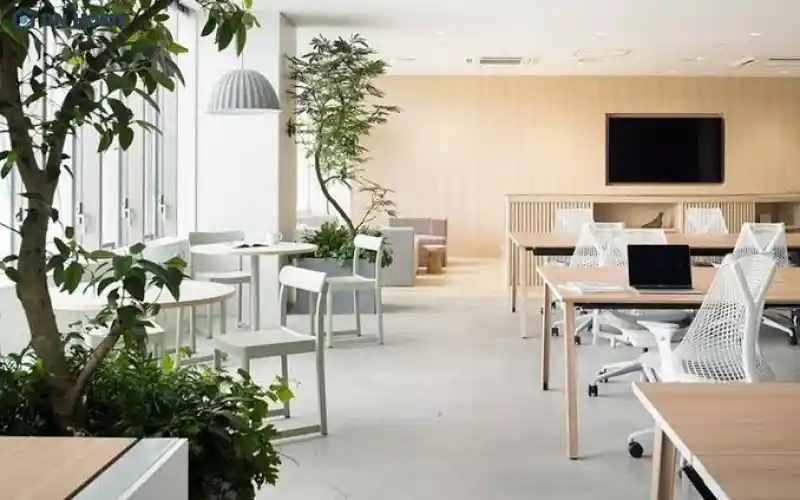 Thiết kế văn phòng kiểu Nhật