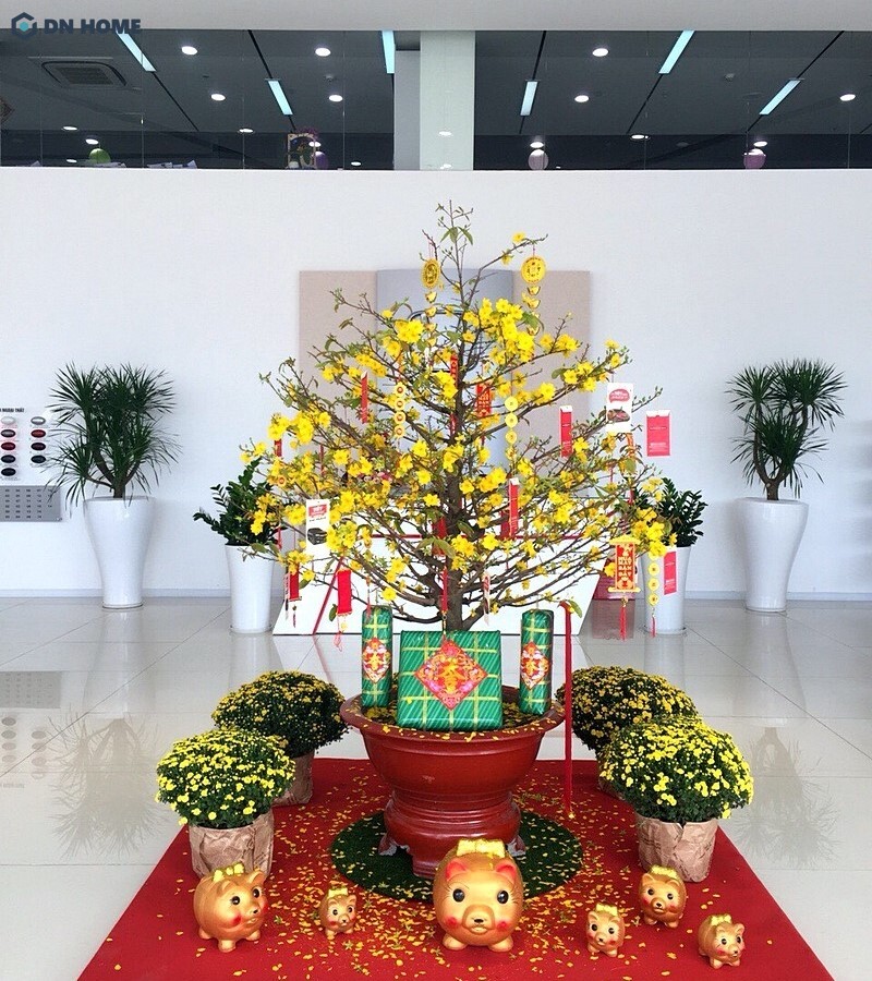 Trang trí tết văn phòng
