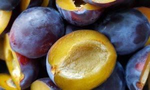 Ăn mận không gây béo bụng mà còn có thể hỗ trợ giảm cân hữu hiệu