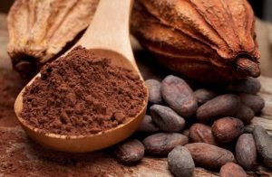 Ca cao rất giàu thành phần dưỡng chất