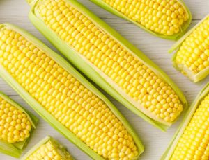 Chất xơ hòa tan trong hỗn hợp giảm cân rất hiệu quả