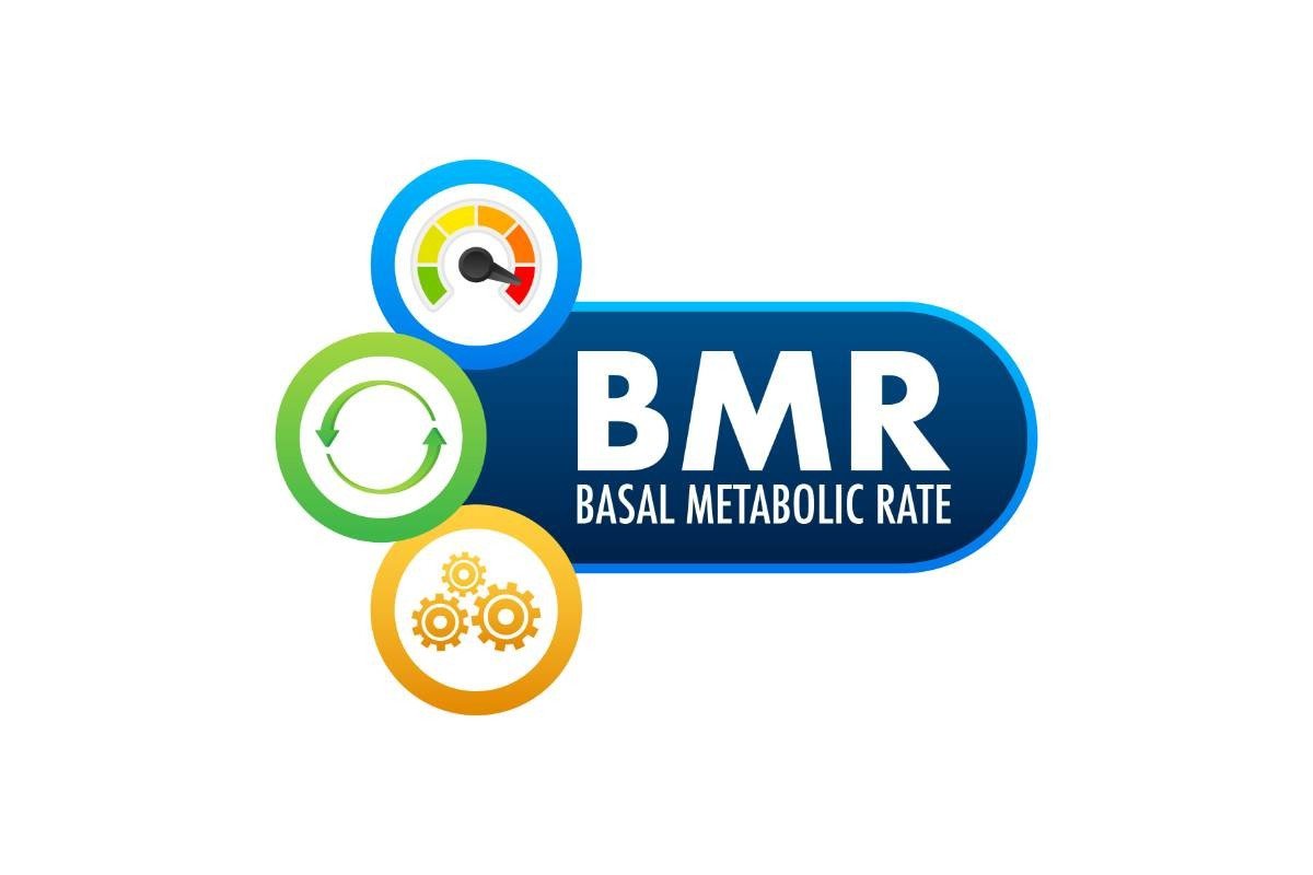 BMR (Basal Metabolic Rate), tức lượng calo cơ thể cần để duy trì các hoạt động sống cơ bản khi nghỉ ngơi.