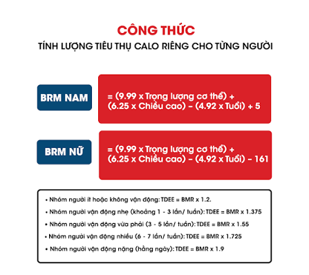 công thức tính BMR cho nam và nữ, đồng thời cho thấy cách ước tính TDEE dựa trên mức độ vận động hằng ngày.