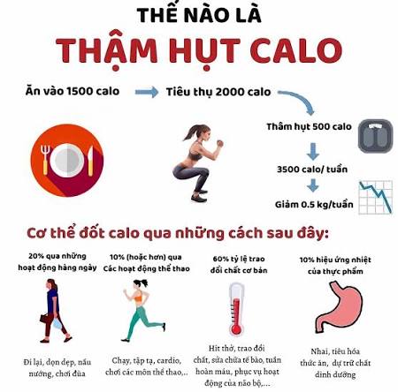 Nguyên lý thâm hụt calo giúp cơ thể đốt mỡ khi nạp ít calo hơn tiêu thụ