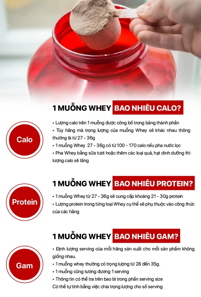 Thành phần dinh dưỡng và công dụng của whey protein là gì?
