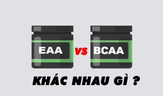 EAA Khác Gì BCAA?