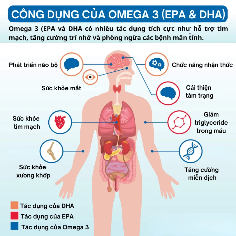 Có 6 tác dụng chính của omega-3 với sức khỏe nào?