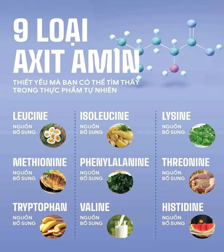 9 Loại Axit Amin Thiết Yếu Bao Gồm Những Gì?