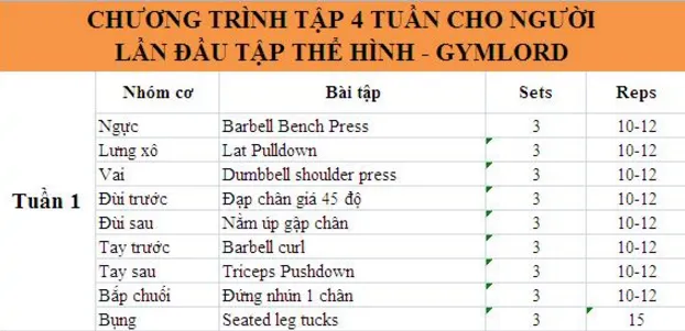 Lịch tập gym 4 tuần cho người mới, minh họa các nhóm cơ, bài tập, số hiệp và số lần lặp phù hợp.