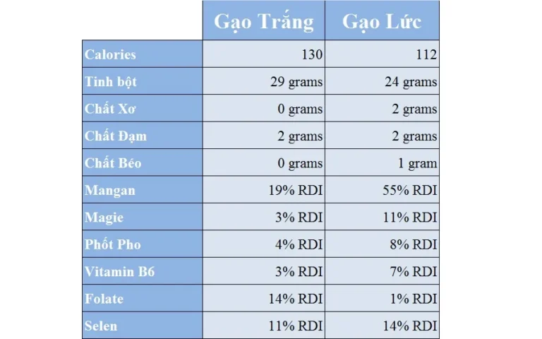Bánh gạo lứt giàu chất xơ, vitamin và khoáng chất, giúp no lâu, cung cấp năng lượng bền vững và là lựa chọn lành mạnh hơn trong chế độ ăn.