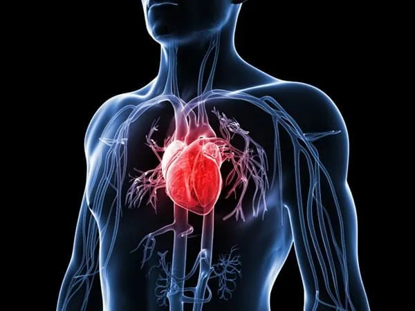 Lợi ích khác: tập trung, sức khỏe tim mạch, và phòng ngừa bệnh