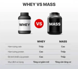 so sánh whey protein và mass gainer về hàm lượng calo, protein, độ tinh khiết và mục đích sử dụng.