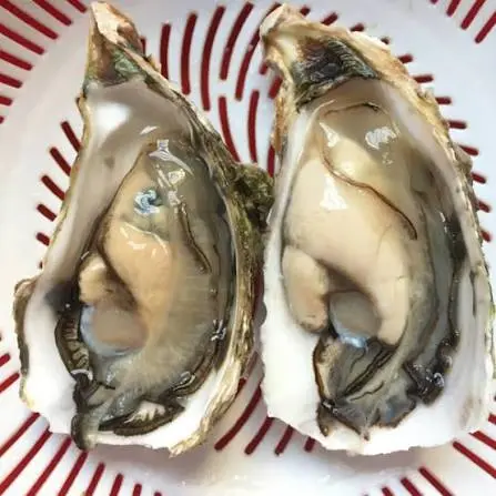 1 con hàu chứa bao nhiêu kẽm?