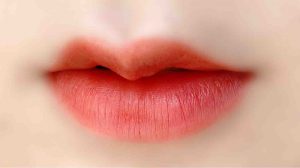 Môi cánh én có dáng môi trên hình cánh cung như cánh chim én.