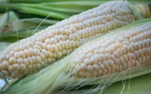 Cắt mí có được ăn ngô nếp không?