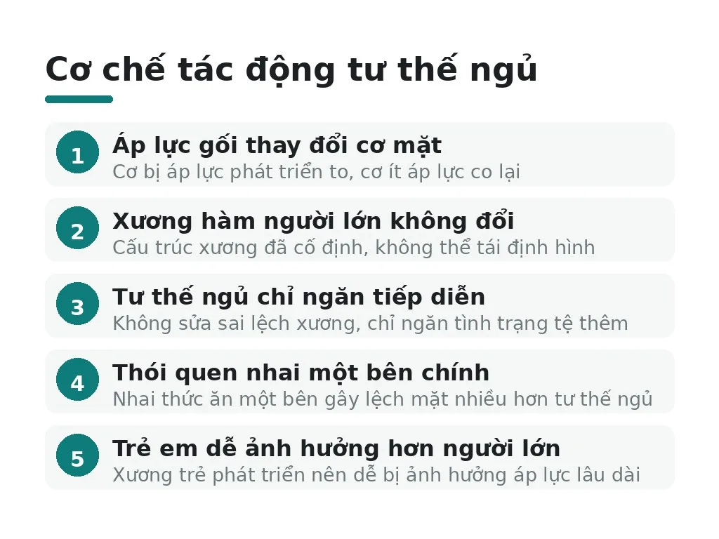 Cơ chế tác động: Tại sao tư thế ngủ ảnh hưởng khuôn mặt?