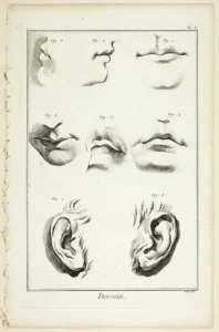 facial anatomy aesthetic surgery cosmetic treatment
