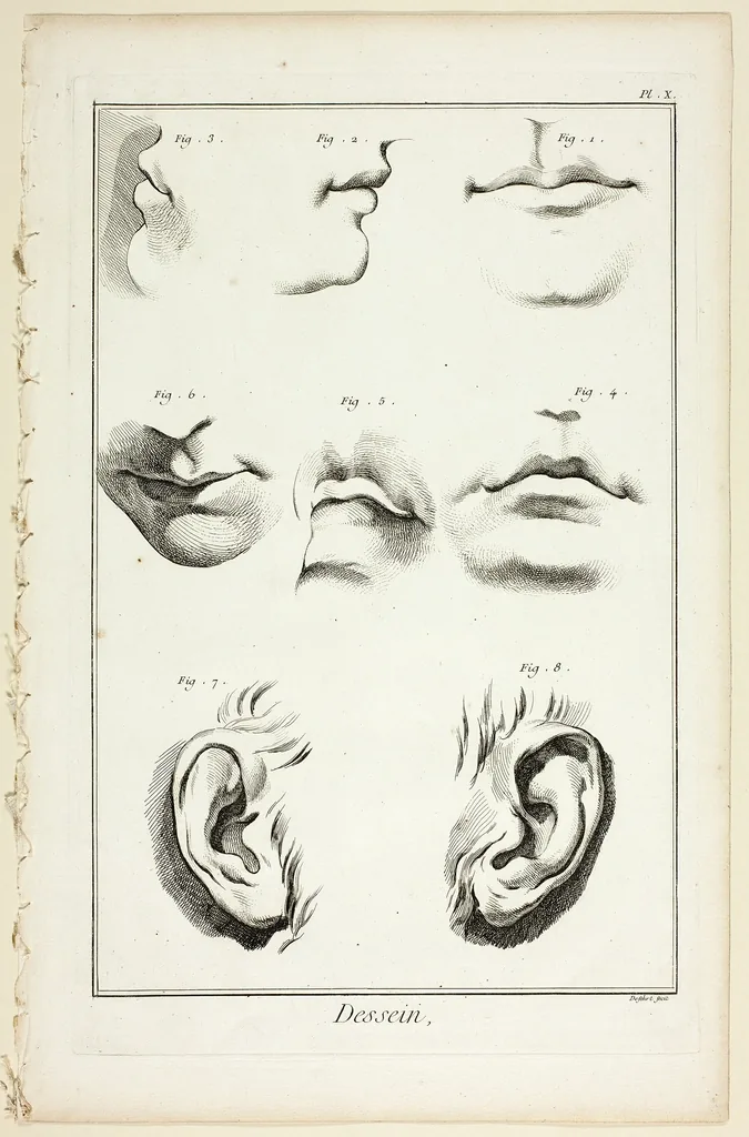 facial anatomy aesthetic surgery cosmetic treatment