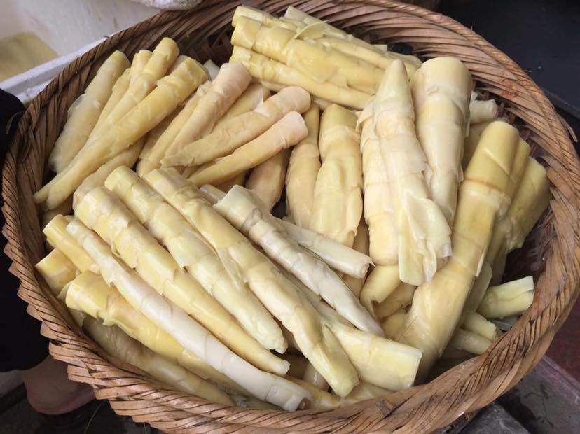 Cắt mí ăn măng được không?