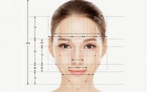 Tỉ lệ khuôn mặt người