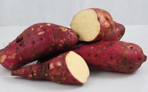 Thành phần khoai lang chứa nhiều chất có lợi cho sức khỏe