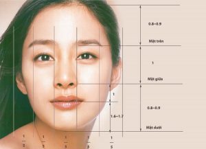Một gương mặt đạt tỉ lệ vàng theo tỉ lệ 1 : 0.618