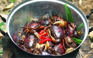 Cua đồng chứa nhiều chất dinh dưỡng tốt cho sức khỏe