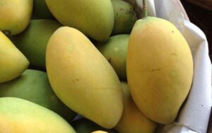 Vết thương hở có được ăn xoài không và ăn như thế nào đúng cách?